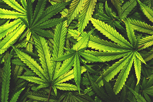Drug Possession help