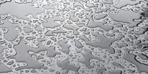 Wet Floor